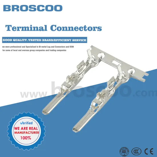 Durable Waterproof Automobile Socket Connector for Reliable Terminals